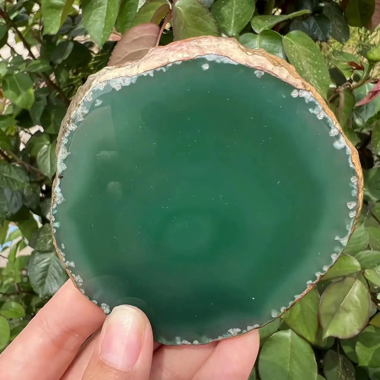 natural agate coasters crystal gold trim - PLACCA